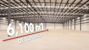 ‼ Nave Industrial en Renta, 6,100 m2, sobre Calle 4ta ‼