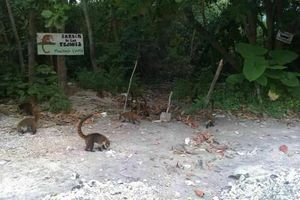 MAGNIFICO TERRENO EN VENTA EN PUERTO MORELOS