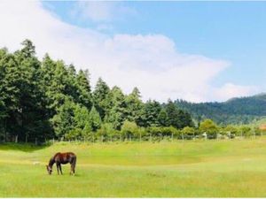 Terreno en Venta en Escobar Mineral del Monte