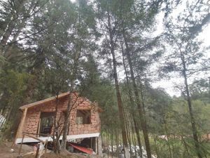 Terreno en Venta en Pueblo Nuevo Mineral del Monte