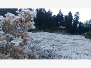 Terreno en Venta en Pozos Blancos Mineral del Monte