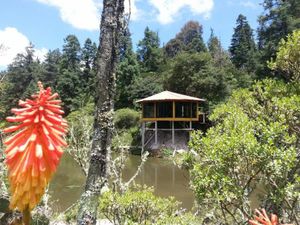 Terreno en Venta en Del Hiloche Mineral del Monte