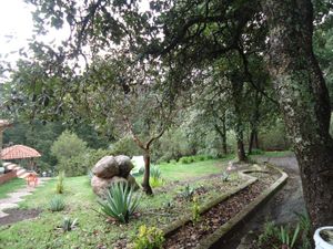 Terreno en Venta en Pueblo Nuevo Mineral del Monte