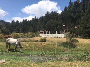 Terreno en Venta en Centro Pachuca de Soto