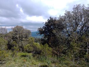 Terreno en Venta en Calicanto Mineral del Monte