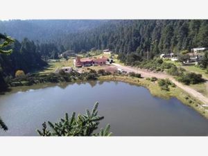 Terreno en Venta en Pueblo Nuevo Mineral del Monte