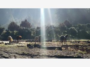 Terreno en Venta en Purísima Mineral del Monte