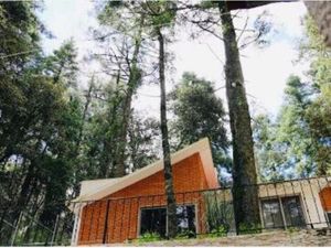 Terreno en Venta en Centro Pachuca de Soto