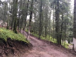 Terreno en Venta en Guadalupe Mineral del Monte