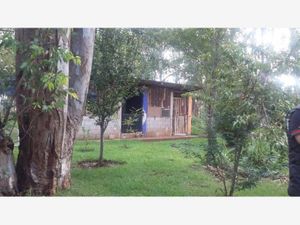 Terreno en Venta en Las Flores Atotonilco El Grande