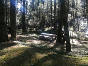 Terreno en Venta en Pueblo Nuevo Mineral del Monte