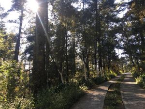 Terreno en Venta en Pozos Blancos Mineral del Monte