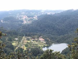 Terreno en Venta en Guadalupe Mineral del Monte