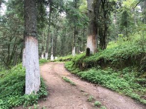 Terreno en Venta en Calicanto Mineral del Monte