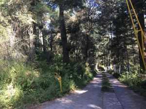 Terreno en Venta en Pozos Blancos Mineral del Monte