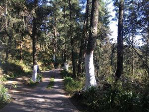 Terreno en Venta en Pozos Blancos Mineral del Monte