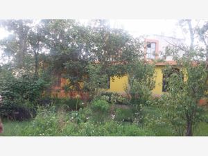 Terreno en Venta en Las Flores Atotonilco El Grande