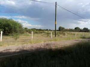 Terreno en Venta en El Bajio Rincón de Romos