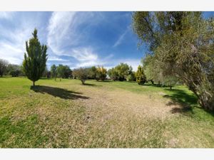 Terreno en Venta en El Salto de los Salado Aguascalientes