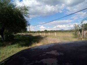 Terreno en Venta en El Bajio Rincón de Romos