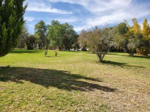 Terreno en Venta en El Salto de los Salado Aguascalientes