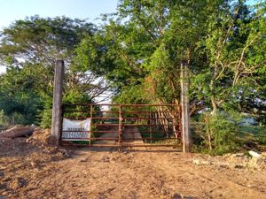 Finca/Rancho en Venta en Santo Domingo 1ra. Sección (El Llano) Jalapa