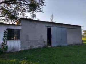 Finca/Rancho en Venta en Santo Domingo 1ra. Sección (El Llano) Jalapa