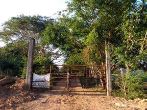 Finca/Rancho en Venta en Santo Domingo 1ra. Sección (El Llano) Jalapa