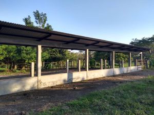 Finca/Rancho en Venta en Santo Domingo 1ra. Sección (El Llano) Jalapa