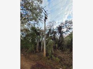 Terreno en Venta en Pontezuelas Charo