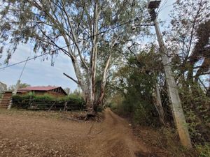 Terreno en Venta en Pontezuelas Charo