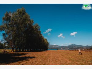 Terreno en Venta en Zirahuén Salvador Escalante