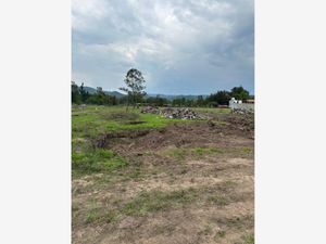 Terreno en Venta en Santiago Undameo Morelia