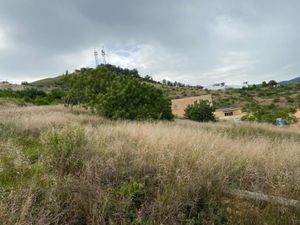 Terreno en Venta en Loma Linda Oaxaca de Juárez