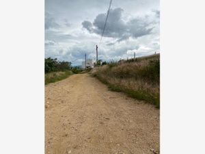 Terreno en Venta en Loma Linda Oaxaca de Juárez