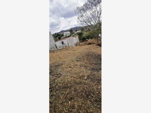 Terreno en Venta en San Pablo Etla San Pablo Etla