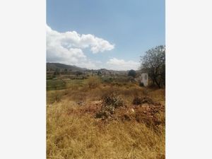 Terreno en Venta en San Agustin Etla San Agustín Etla