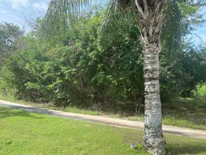 TERRENO CON VISTA AL LAGO PRINCIPAL Y CAMPO DE GOLF EN YUCATÁN COUNTRY CLUB