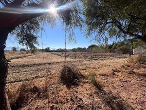 Terreno en Venta en El Rodeo Ixtlahuacán de los Membrillos