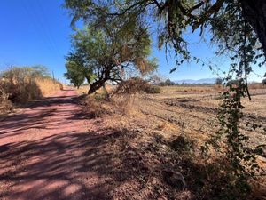 Terreno en Venta en El Rodeo Ixtlahuacán de los Membrillos