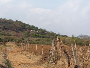 Terreno en Venta en Chichco (Chisco) Tepoztlán