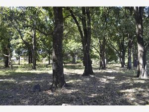 Terreno en Venta en Oacalco Yautepec