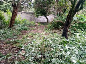 Terreno en Venta en Santo Domingo Ocotitlán Tepoztlán