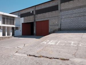 Bodega en Renta en Progreso Jiutepec