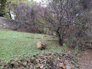 Terreno en Venta en Tepoztlan Centro Tepoztlán