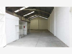 Bodega en Renta en Satelite Cuernavaca