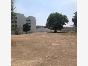 Terreno en Venta en Santa Maria Tequepexpan San Pedro Tlaquepaque