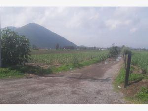 Terreno en Venta en San Isidro Mazatepec Tala