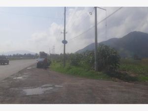 Terreno en Venta en San Isidro Mazatepec Tala