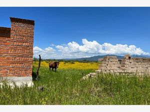 Terreno en Venta en Atotonilco El Bajo Villa Corona